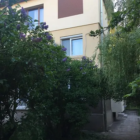 Petrovi Sofia